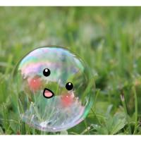 MiniYang's Photo