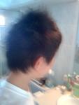 day's Photo