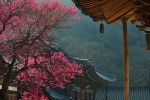 Rainy Pluie's Photo