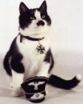 Kitler's Photo