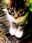Marchz's Photo