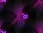 ipha's Photo