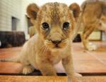 Jonathan Tan's Photo