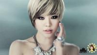 Soshiphobia's Photo