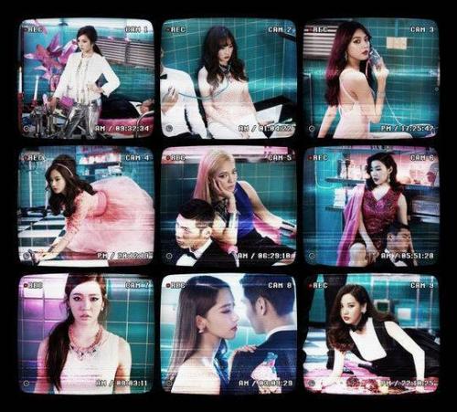Soshi_Neko's Photo