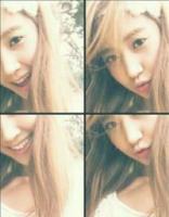 Soshibird's Photo
