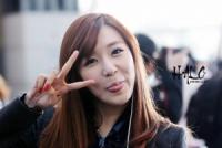 The Shy's Photo