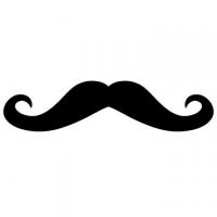 MustacheFish's Photo