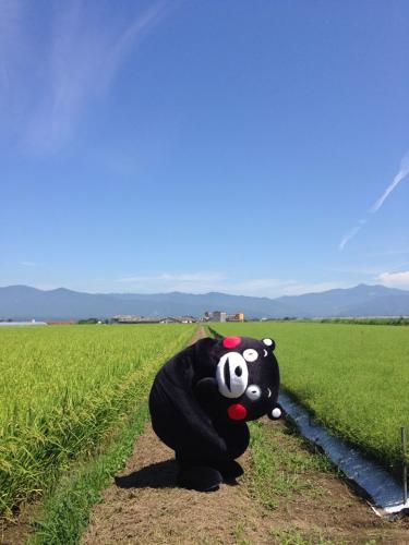 kikkok's Photo