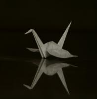 EmptyOrigami's Photo