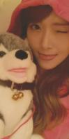 Sweet Dreams's Photo