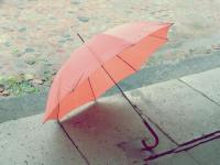 Lina10's Photo