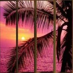 Grapeapple Tree's Photo