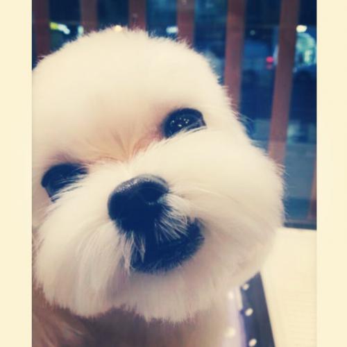pabofany's Photo