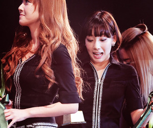 ponytael's Photo