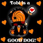 Tobi's Photo