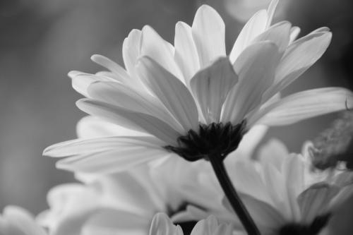 ivy pei's Photo