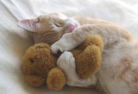 Nanda's Photo