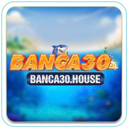 banca30house's Photo