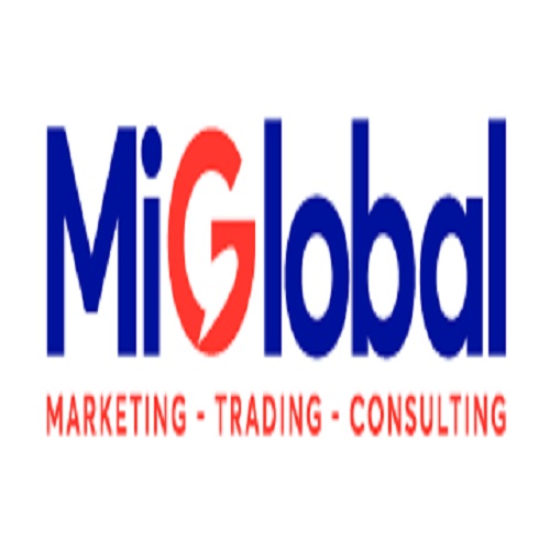 miglobalvn's Photo