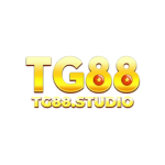 tg88studio's Photo