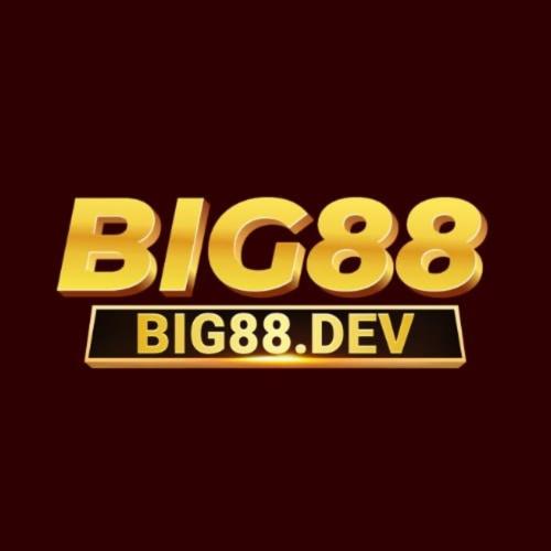 big88dev's Photo