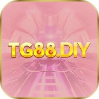 tg88diy's Photo