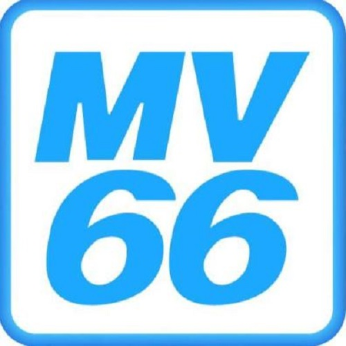 mv66trading's Photo