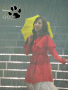 snsdaddicted's Photo