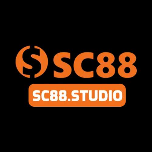 sc88studio's Photo