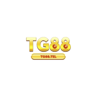tg88tel's Photo