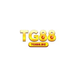 tg888biz's Photo