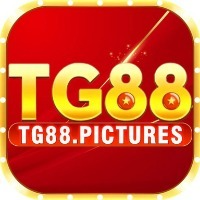 qtg88com's Photo