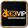 okviptopdev's Photo