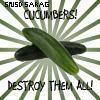 Cucumber's Photo