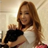 [GIF] Wanter: Sica - last post by Vincehing