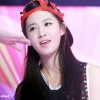 [YURISM] Black Pearl's BFF? - last post by intyurila57