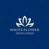 whiteflower1's Photo