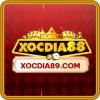 xocdia89com's Photo