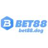 bet88dog's Photo