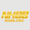 nh88org's Photo