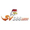sv388movv's Photo