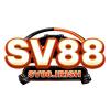 sv88irish's Photo