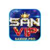 sanvippro's Photo