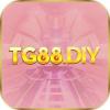 tg88diy's Photo