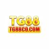 tg88cocom's Photo