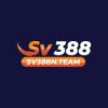 sv388nteam1's Photo