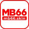 mb66skin's Photo