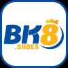 bk8shoes1's Photo