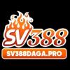 sv388dagap's Photo